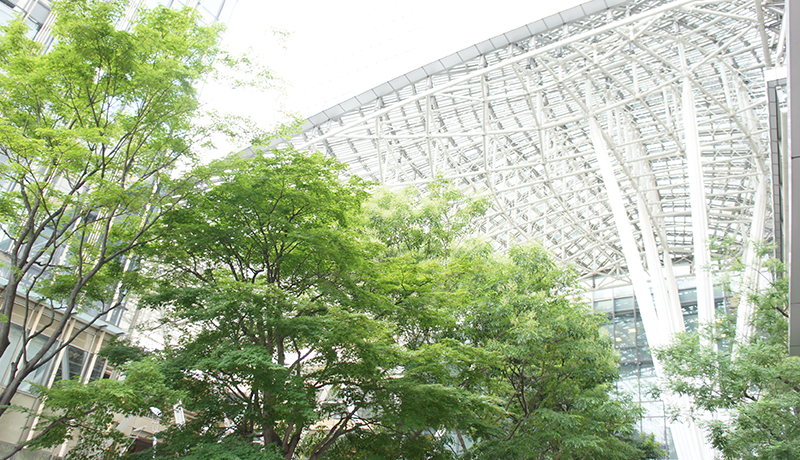 凤凰体育nbaapp下载 直接会って「もう書けません」と改めdq カジノ ジャックポットて言おう